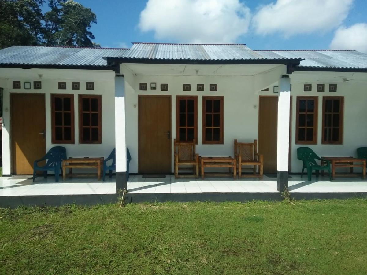 Rago'S Homestay Kelimutu Exterior photo